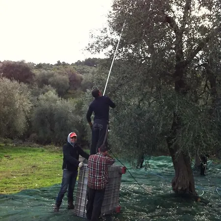 Castello Mafrolla Privat bolig *